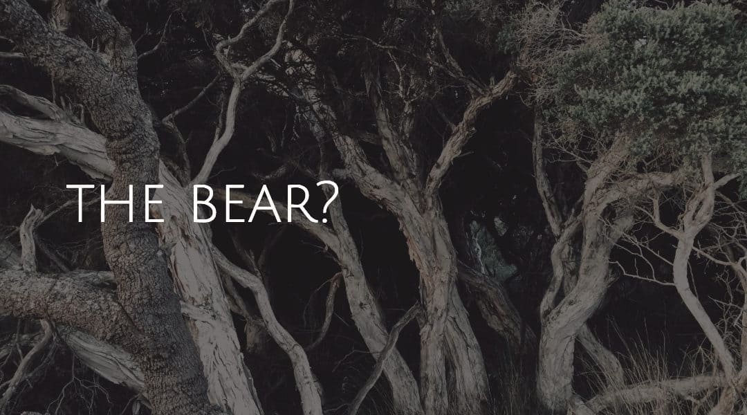 The Bear? Loose in the Australian Forest?